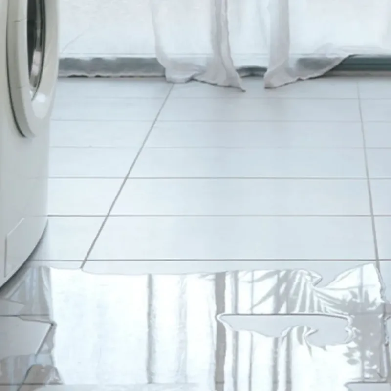 Appliance Leak Cleanup in Windsor, IL