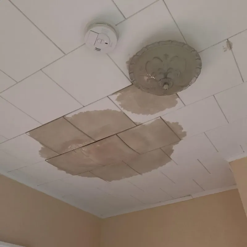 Ceiling Water Damage Repair in Windsor, IL