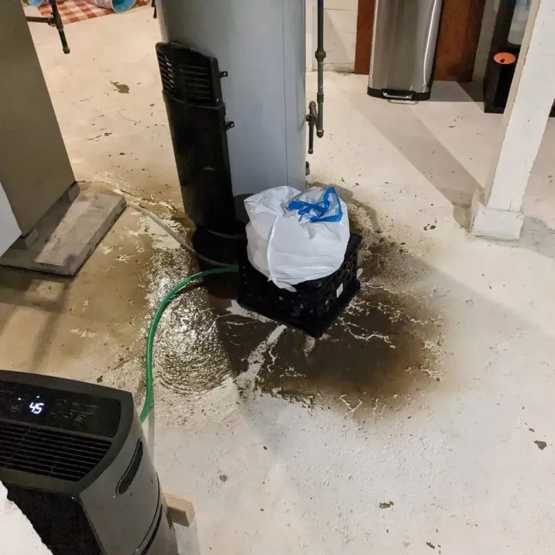 Sewage Backup Cleanup Service in Windsor, IL